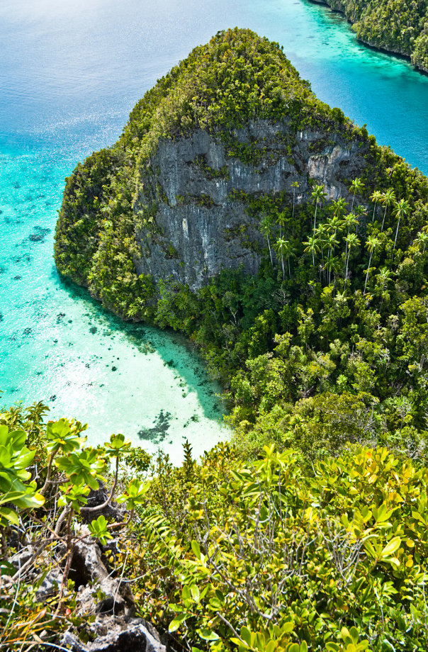 The Raja Ampat Islands in Indonesia